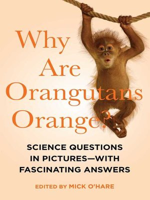 cover image of Why Are Orangutans Orange?